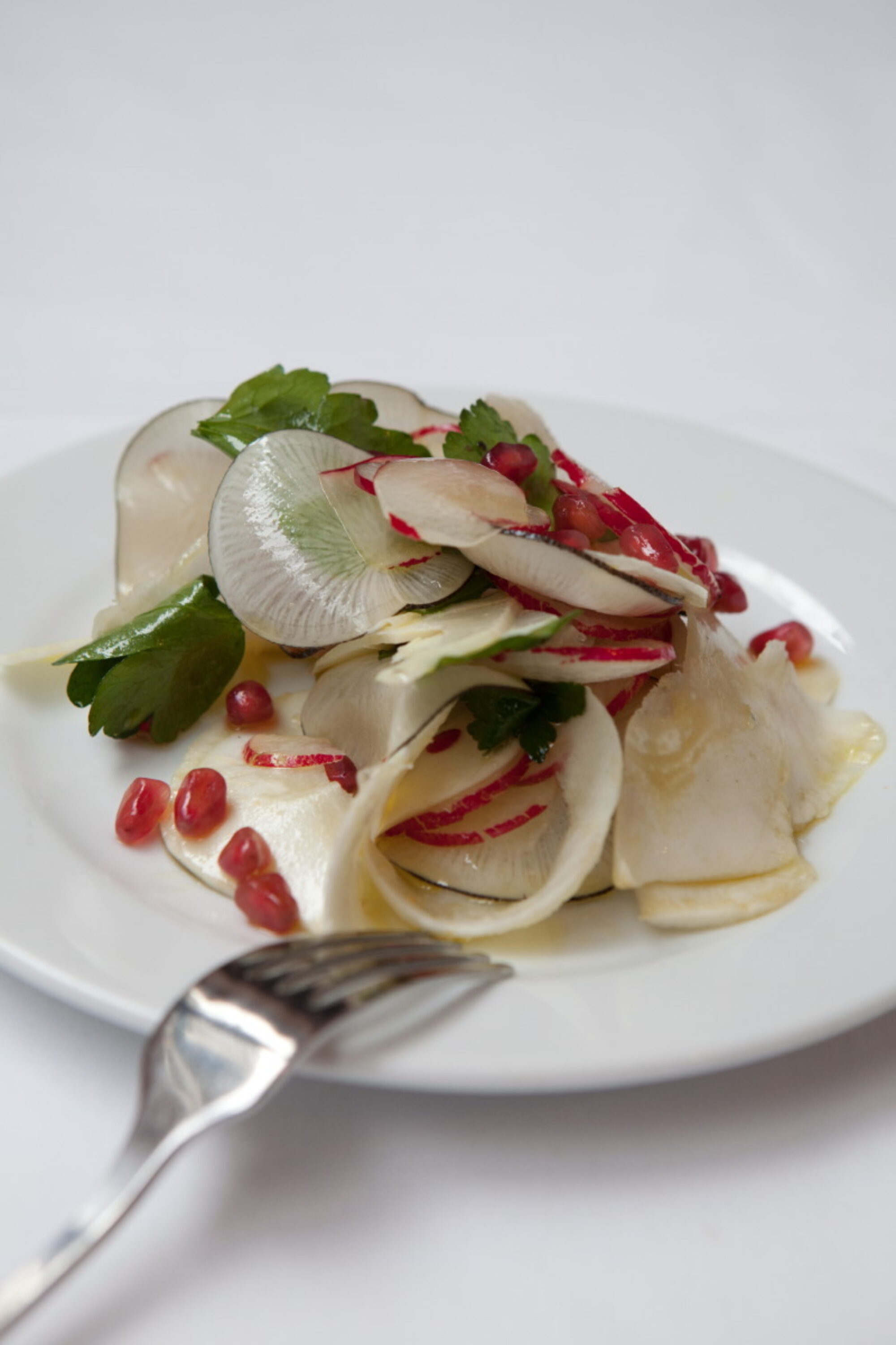 BDL 2009 Food Salad Truffled radish pomegranite and celeriac salad